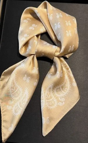 Khaki Paisley scarf